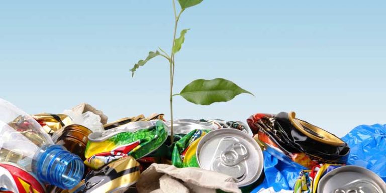 reduire-dechets-pour-la-planete-800