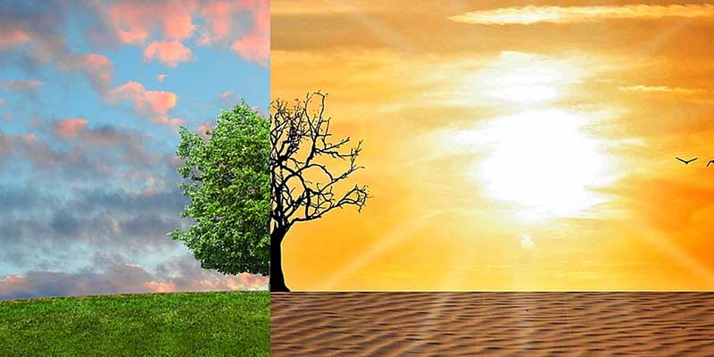 agir-face-au-rechauffement-climatique-800