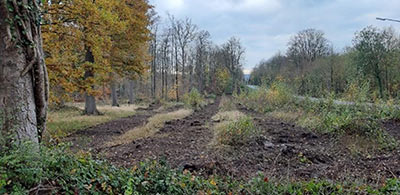 reforestaction liege