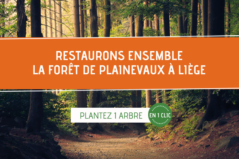 reforestaction-plainevaux