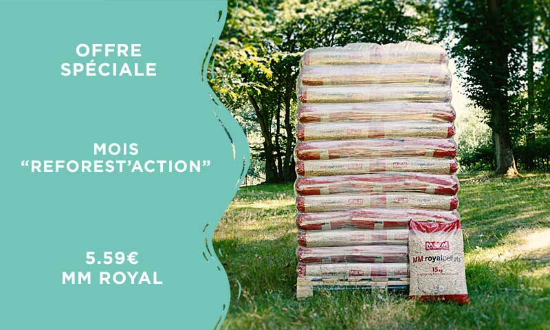 promo-reforestaction
