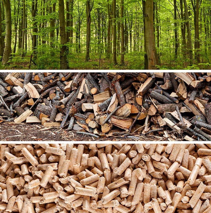 Le pouvoir écologique des pellets de bois