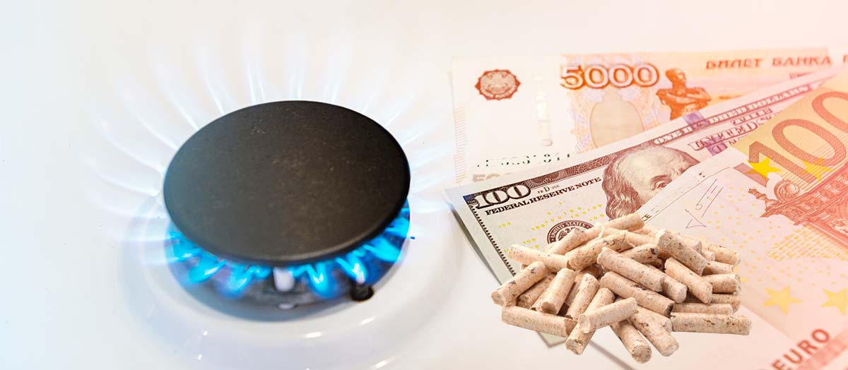 Pellets ou gaz naturel : comment économiser sur les coûts d'énergie