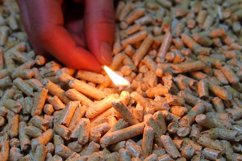 acteurs influencent consommation pellets