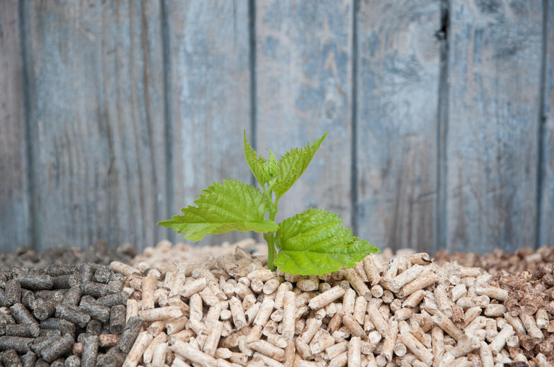 une alternative écologique pour réduire notre empreinte carbone