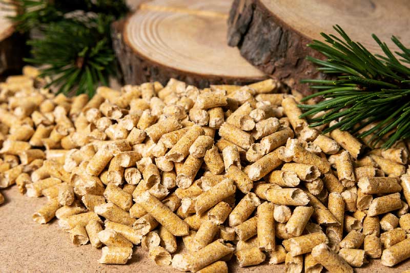 pellets deforestation mythes realites