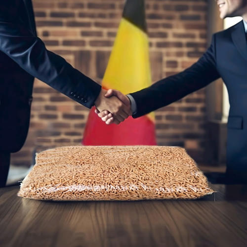 Soutien gouvernemental pour l’utilisation des pellets en Belgique