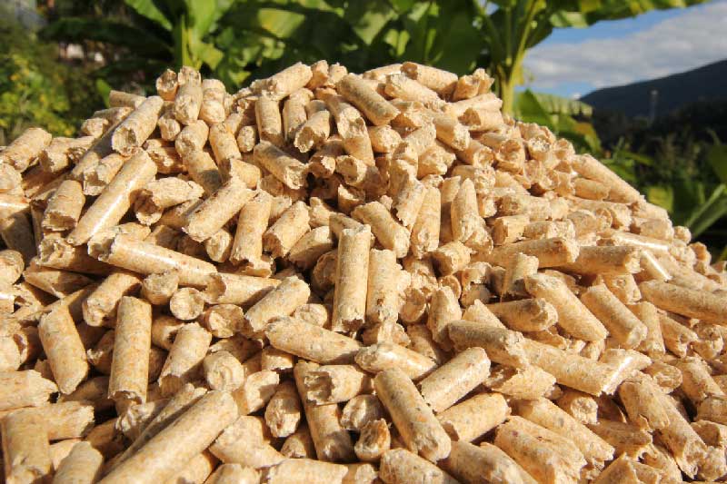 impact pellets politique energetique belge