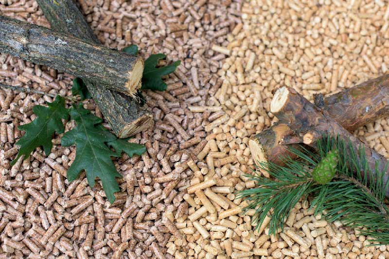 Des granulés de bois feuillus ou résineux : comment choisir ?