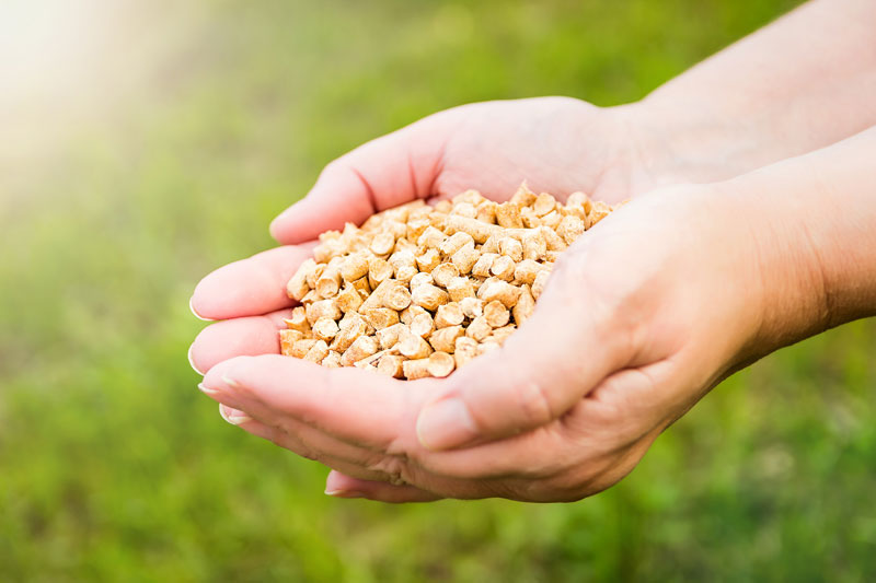 Les liants pour obtenir des pellets compacts