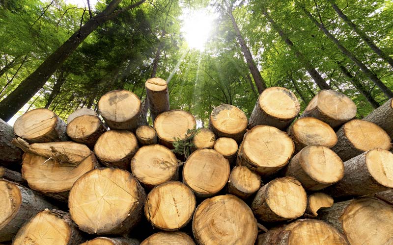 quelles sont bonnes raisons connaitre origine bois pellets