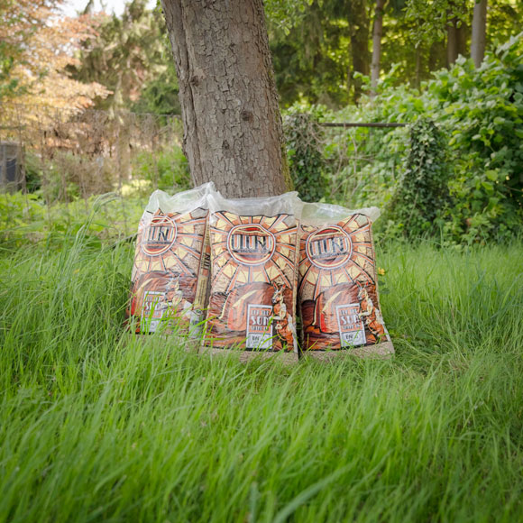 preparez les fetes et vos stocks kindling uluru